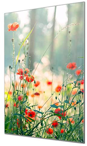 banjado Magnettafel aus Glas 40x60, Blumenmotiv, beschreibbar | Florale Glas-Pinnwand für Notizen und Fotos, mit Motiv Waldmohn aus der Pflanzenwelt