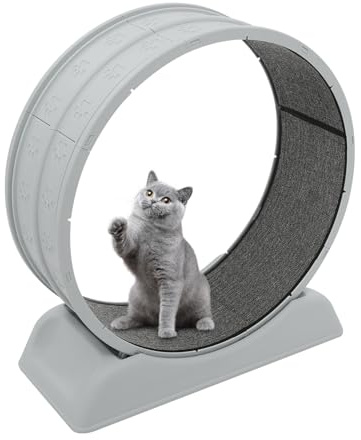Katzenlaufrad, Großes Katzenlaufrad 80cm, Katzenspielzeug, Sicherheits Laufrad mit Schloss und Minimiertem Spaltdesign, Indoor Laufrad für Katzen Bis 10kg, Keinen Lärm Erzeugt 79 * 34 * 84cm (Grau)