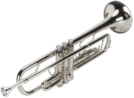 Set Tromba in Sib, 1 Tromba, 1 Bocchino, 1 Panno per la Pulizia, Strumento a Fiato a Tromba per Studenti Principianti (SILVER)