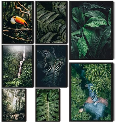 HappyArts® | Premium 8er Poster Set | Bilder Wohnzimmer Deko Schlafzimmer | Urban Jungle Dschungel Pflanzen Botanik Monstera (ohne Rahmen)
