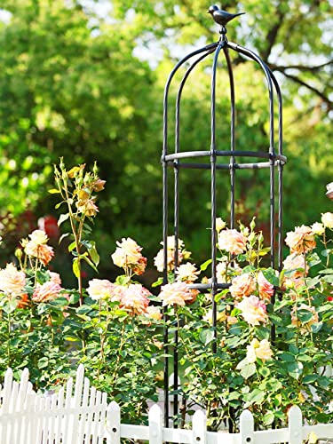 Obelisco de jardín grande para plantas trepadoras, resistente a la intemperie, ideal para enredaderas y plantas de rosas con decoración de pájaros