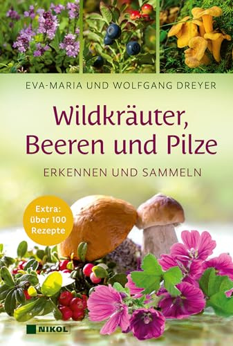 Wildkräuter, Beeren und Pilze: Erkennen und sammeln: Extra: über 100 Rezepte