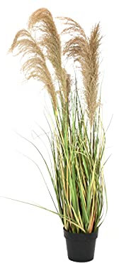 EUROPALMS Chinaschilf Gracillimus, künstlich, 140cm | Buschiges Schilfgras für individuelle Naturdekorationen