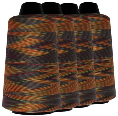 Schneidereibedarf Werner Multicolor Overlock-Nähgarn/Overlockgarn, 100% Polyester, 40/2 Stärke, 3.000 Yard (2.743 Meter), für alle Stoffe (4, B)