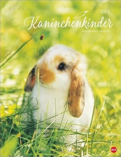 Kaninchenkinder Posterkalender 2024 von Monika Wegler. Ein bezaubernder Tierkalender mit süßen Fotos. Dekorativer Kalender für Tierfreunde. Hochformat 34 x 44 cm.