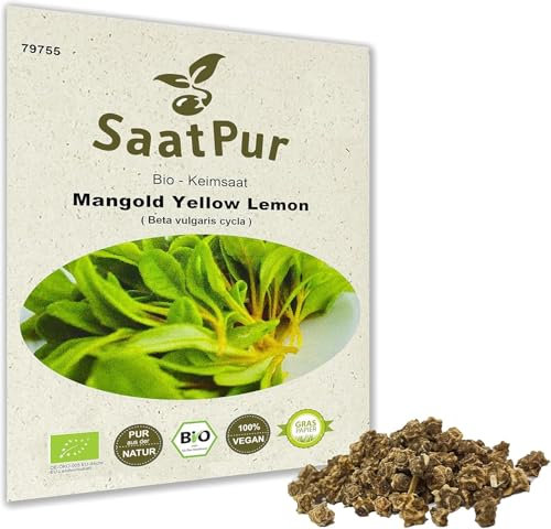 SaatPur Bio Graines de bette à carde jaune Yellow Graines à germer Microgrreen Pousses à germer Microgreen - 30g - à semer sur terreau