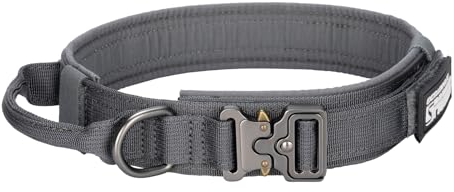 EXCELLENT ELITE SPANKER Taktisches Hundehalsband Nylon Verstellbares Trainingshalsband Heavy Duty Metallschnalle mit Kontrollgriff für mittlere und große Hunde mit Patches(Gry-L)