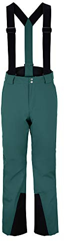 Ziener Herren TAGA Ski Snowboard-Hose | Atmungsaktiv, Wasserdicht, Spruce Green, 54