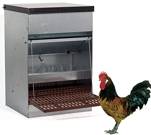 FINCA CASAREJO Mangeoire Anti-Gaspillage pour Poule - Mangeoire avec Pédale et Trappe - Anti-Oiseaux et Anti-rongeurs - Capacité 15 kg