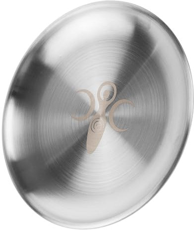 Alipis Plaque D’autel Rituelle Ronde en Acier Inoxydable Argentée