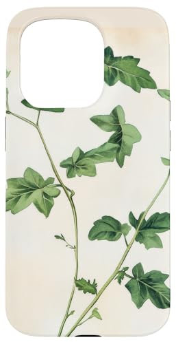 Lierre anglais Vintage Illustration scientifique Plante Coque pour iPhone 15 Pro