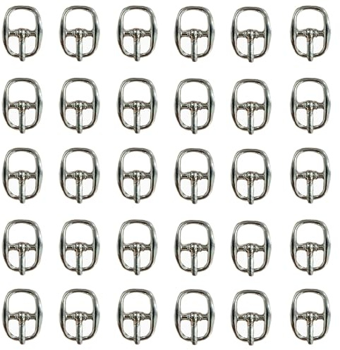 ZAHD 30 PCS schnallen klein Schuhschnallen dornschliesse schnalle DIY Rollschnalle 10MM Silber Metall Hardware Schuh Dornschließe Metall Rollschnallen Set für Taschen Ledergürtel DIY Zubehör (Silber)