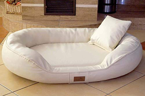 tierlando® Orthopädisches Hundebett Lennart Easy Clean mit Visco-Plus-Matratze und pflegeleichtem Kunstleder-Bezug | Größe: 140x105cm | Farbe: 05 Creme