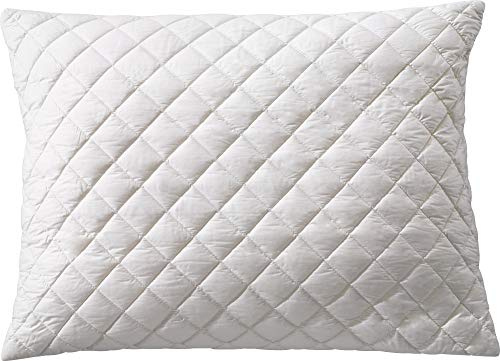 Billerbeck Organic 381 Cosidream nature Naturkissen 40x80