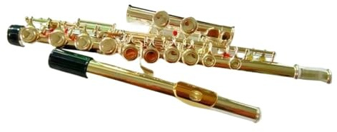 Professionelle Querflöte Flöte Musikinstrument Geschlossen 16 Über E-Taste Silber C Tune Flöte
