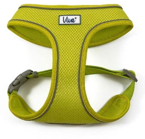 Ancol Viva Hundegeschirr, leicht, atmungsaktiv, Komfort-Mesh, Limette, Größe XS (passend für einen Umfang von 28-40 cm)
