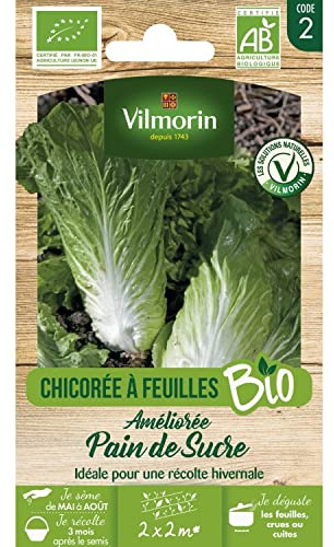 Vilmorin Chicoree Pain De Sucre bio