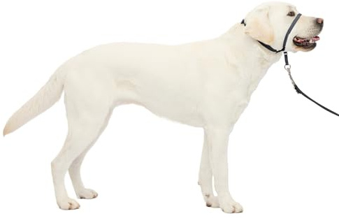 PetSafe Gentle Leader Hundekopfhalsband, die ultimative Lösung gegen Ziehen, leitet das Ziehen des Hundes um, für einfachere Spaziergänge, hilft dir, die Kontrolle wiederzuerlangen, Größe L, Anthrazit