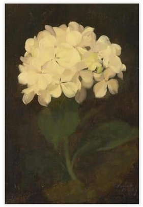 QOYVG Witte Hortensia Schilderij Canvas Poster Wall Art Decor Print Picture Paintings 12x18inch(30x45cm)