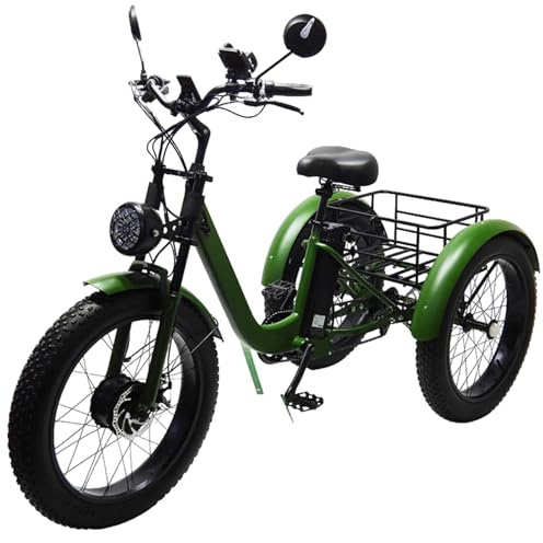 24 elektrisk trehjuling för vuxna med funktionsnedsättning, 3 hjul, pedalassistans, feta däckcyklar för 200 kg cyklister, kraftiga vuxencyklar med stor korgkapacitet