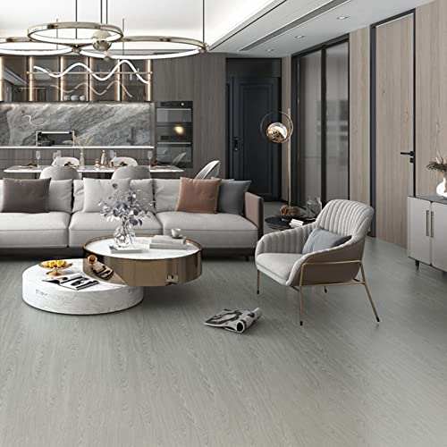 HARICSET Venylbodenbelag klick Vinyl-Fliesen Vinylboden Dielenboden Dünn Fliesen für Fußbodenheizung Wasserdicht(Size:10sqm,Color:W02-2)