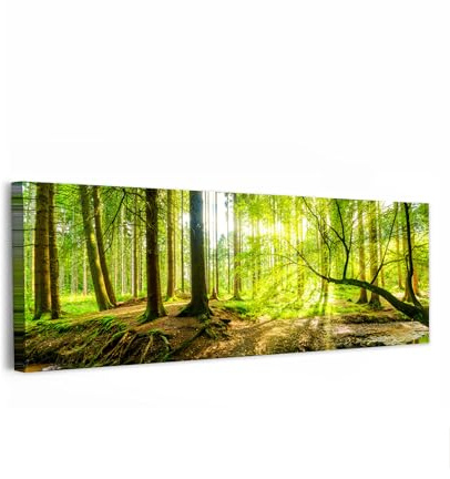 MuchoWow© Bild auf Leinwand Schlafzimmer Bilder XXL Badezimmer Wand Deko | 150x50 cm - Wohnzimmer Modern Wanddeko Bilderwand Geschenk Wandbilder Wald - Landschaft - Wasser - Bäume - Grün - Natur
