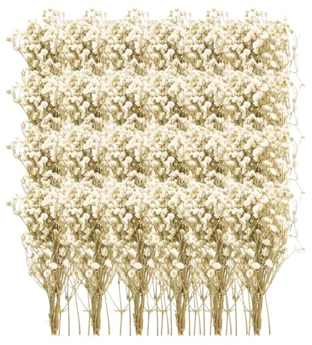 GXGM 50 piezas de flores secas decorativas, flores artificiales, gypsophila blanca, secas con aspecto natural, para manualidades artísticas con resina, decoración de bodas