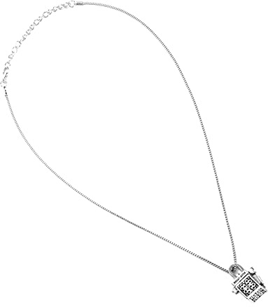 HEEPDD Husdjursägare Legering Hundben Halsband Set Rostbeständigt Material Skarvdesign för Dagligt Slitage och Minne Idealisk Present Till Hängivna Husdjursälskare Som Firar Band med Hundar eller