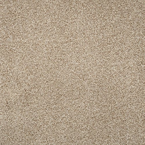 247Floors Flecked Twist Pile Carpet Roll, Hardwearing Felt Backing (3m x 4m, Beige)