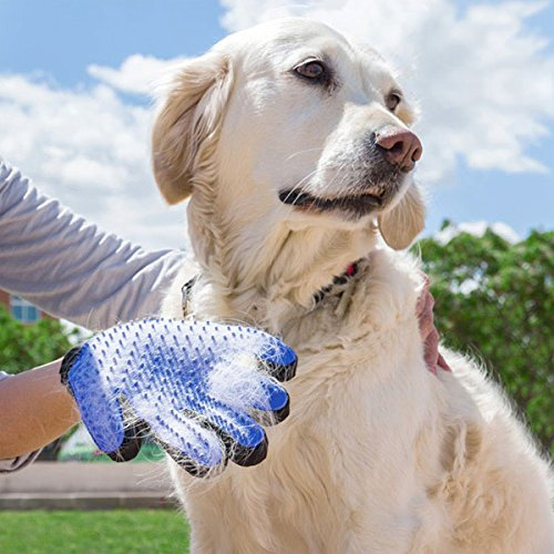 SHOP-STORY - Handschuh zum Bürsten für Fellpflege von Haustieren, Hunde, Katzen, Glove