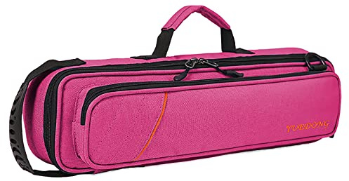 Vilihkc 17 Hole Flute Case Oxford Cloth Carrying Case Bag Flute Accessories,Waterproof Wear Resistant Flute Carrying Bag with Adjustable Shoulder Strap(17 X4 X2.4)