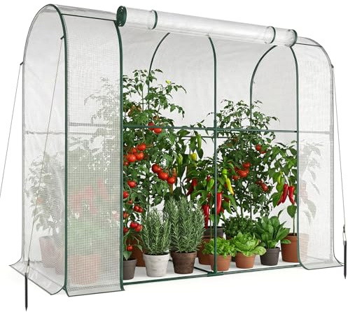 SUNYRISY Tomaten Gewächshaus Klein Foliengewächshaus 200x100x170 cm | Tomatenhaus Tomatenzelt mit Tomatendach, Greenhouse mit Rollentür und Windschutzseil für Balkon Outdoor, Bogen Weiß