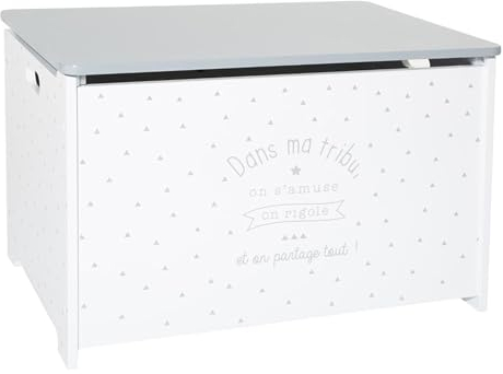 Cofre de juguete gris