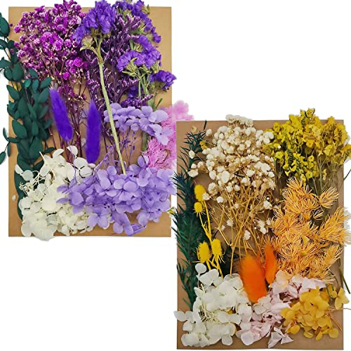 songyea 2Pcs Natürliche Getrocknete Blumen,Trockenblumen Set,DIY Gepresste Blumen,Echte Getrocknete Gepresste Blumen,Trockenblumen Resin,Getrocknete Blumen für Kunst DIY Harz Scrapbooking (D)