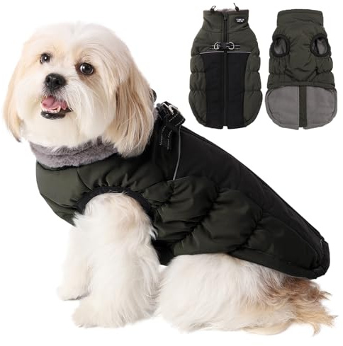 Savlot Wärme hundemantel Winddicht hundejacke Reflektierend hundemantel für kleine Hunde Hundemantel Grosse Hunde Mit Reißverschlussl Mit Reißverschluss Grün XS