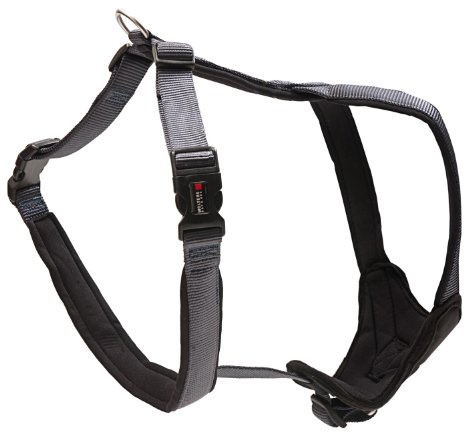 WOLTERS - Geschirr Professional Comfort - 45-50cm x 25mm - Graphit/schwarz