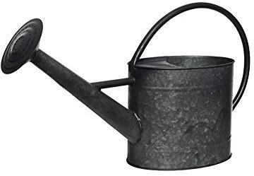 *ULT.UNIDADES* REGADERA DECORATIVA ZINC 5 LT 18X58X35CM