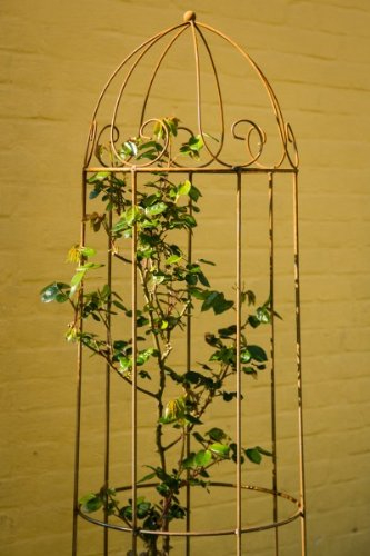 Rankgerüst Roheisen/Rost Obelisk Rosenhilfe H: 160cm Rankhilfe