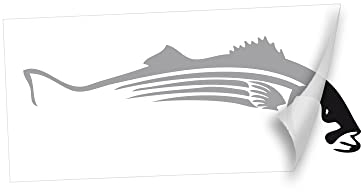Fisch Waller Autoaufkleber Aufkleber Spaß Sticker Fischer Tuning Cool 25 x 8,7cm