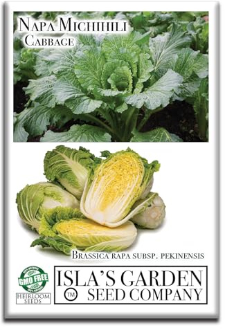 Napa Michihili Cabbage Seeds (Brassica oleracea VAR. capitata) – 1000+ Non-GMO & Heirloom Seeds, Chinese Heading Type, Crisp and Tender Leaves, by Isla’s Garden Seeds, Great Gardening Gift