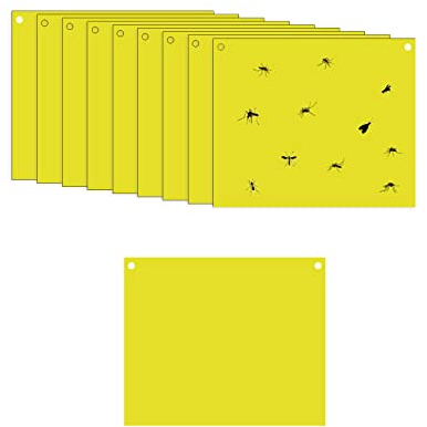 10 trappole per mosche gialle adesive, 25 x 30 cm, adesivi in carta mosca su entrambi i lati, per insetti contro moscerini funghi, mosche bianche, afidi, minatori di foglie