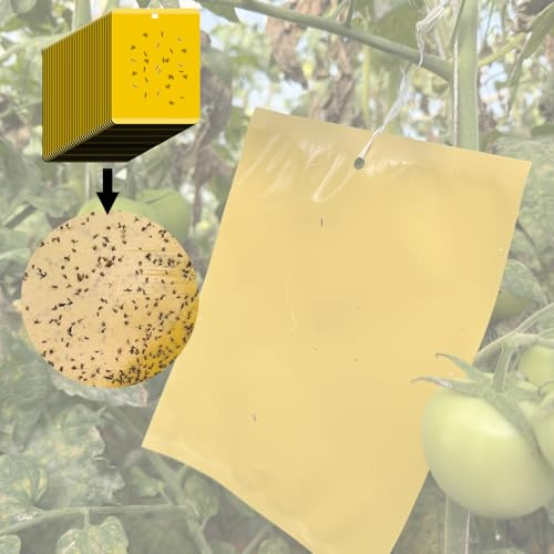 40 Gelbtafeln gegen trauermücken, Fliegenfalle gelbsticker Klebrige Insektenfallen, fruchtfliegenfalle Kirschfruchtfliege raupenleim pflaumenmadenfalle,Falle für Weiße Fliegen, Thripse zuverlässig