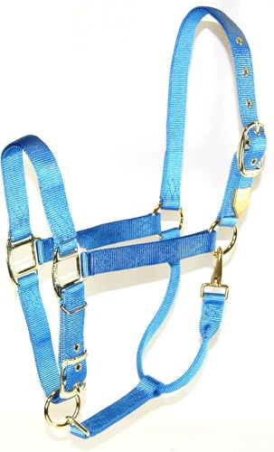 Hamilton Quality Horse Halter, 1 Triple Ply Nylon, Average Horse, Arabian, or Yearling Draft, 800-1100 lbs, Berry Blue