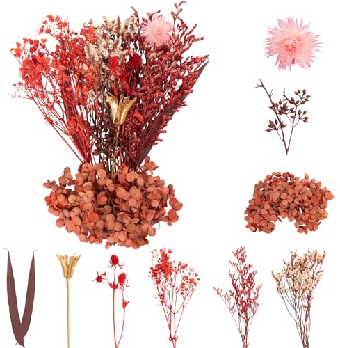LAUMOE Getrocknete Blumen, Trockenblumen Zum Basteln Mini Trockenblumen Set für DIY Epoxidharz Scrapbook Zubehör Handgemachte Heimdekoration Hochzeit