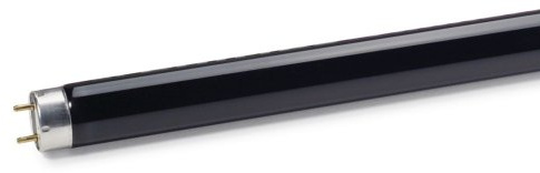 TL 4W BLB 1FM/10X25CC