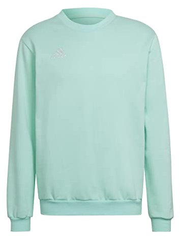 adidas Herren Entrada 22 Sweatshirt, Clear Mint, XL
