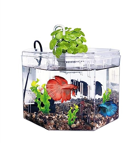 CJHFR472SG Terrarium Isolationsbox for kleine Aquarien, Zucht, spezielles transparentes Acryl-Aquarium mit Pumpenfiltration, Zieraquarium, Büro, Zuhause Insekten Schildkröten
