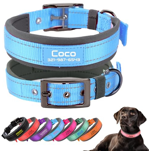 Personalisierter Nylon‑Hundehalsband,Schnalle,Neopren‑Polsterung,Himmelblau | Individuell gravierter Name & Telefon;reflektierende Nähte,robust,weiche Neopren‑Polsterung,einstellbar für alle Hundegrößen