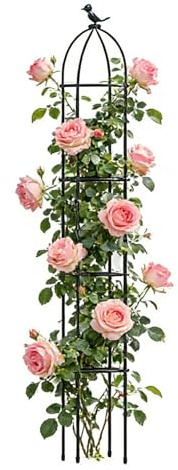 Wgoihd Treillis de Jardin Monstera - Armature Anti-Rouille en métal - Support de Monstera - pour l'intérieur et l'extérieur - Convient pour Roses, clématites, légumes, concombres, vignes,