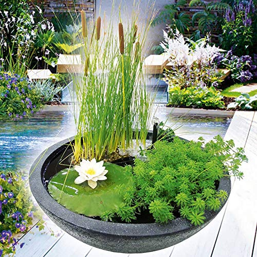 Heissner Wassergarten,55x55x30cm,rund,schwarz (015165-00)